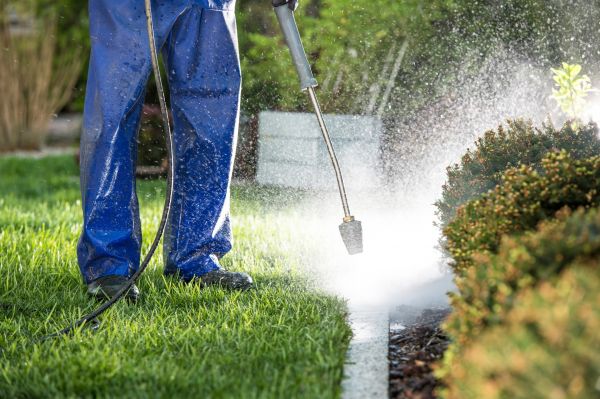 Cost of Curb Cleaning in Estero