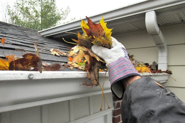 Cost of Eaves Cleaning in Estero